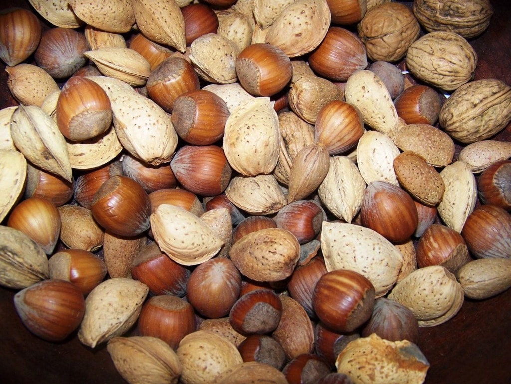 Do Nut and Seed Oils Affect Your Allergies?